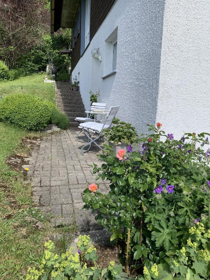 הינטרצארטן Ferienhaus Rotzinger מראה חיצוני תמונה